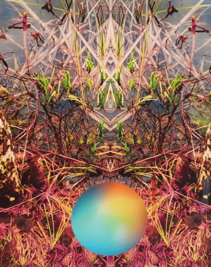 20230411_124434.jpg